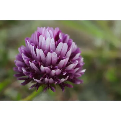 ПРИМОРСКИЙ 28