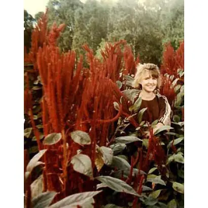 ЧЕРГИНСКИЙ