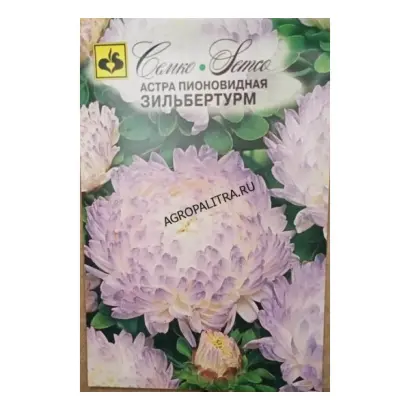 ЗИЛЬБЕРТУРМ