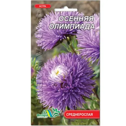 ОСЕННЯЯ ОЛИМПИАДА