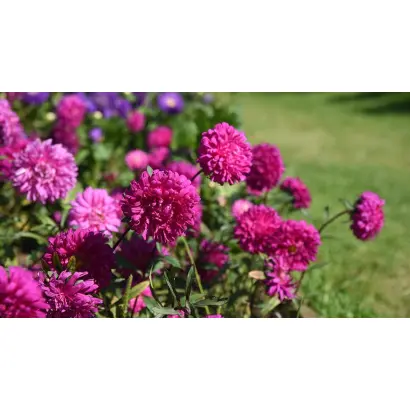 ХАВСКИЙ РАССВЕТ