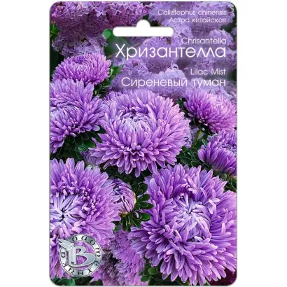 СИРЕНЕВЫЙ ТУМАН