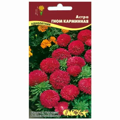 ГНОМ КАРМИННО-КРАСНАЯ