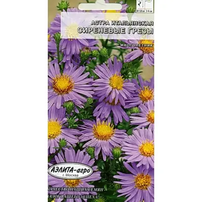 СИРЕНЕВЫЕ ГРЕЗЫ