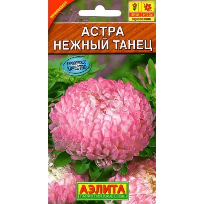 НЕЖНЫЙ ТАНЕЦ