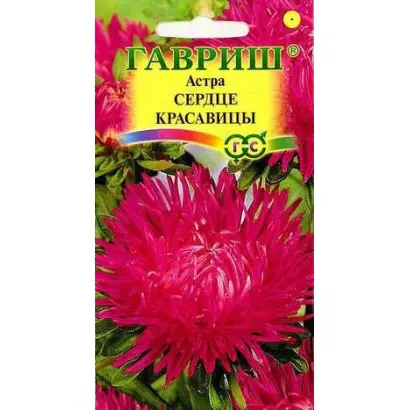 СЕРДЦЕ КРАСАВИЦЫ