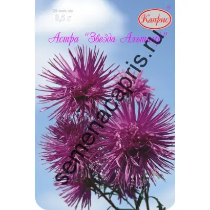 ЗВЕЗДА АЛЬТАИР