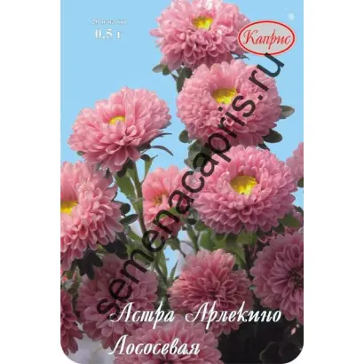 АРЛЕКИНО ЛОСОСЕВАЯ