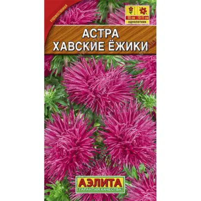 ХАВСКИЕ ЕЖИКИ