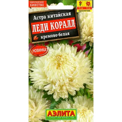 ЛЕДИ КОРАЛЛ КРЕМОВО-БЕЛАЯ