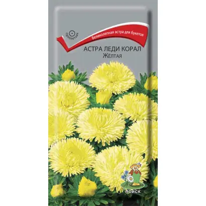 ЛЕДИ КОРАЛЛ ЖЕЛТАЯ