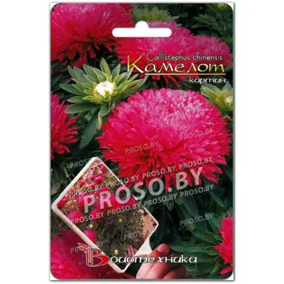 КАМЕЛОТ КАРМИН