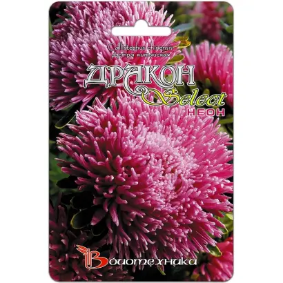 ДРАКОН НЕОНОВЫЙ