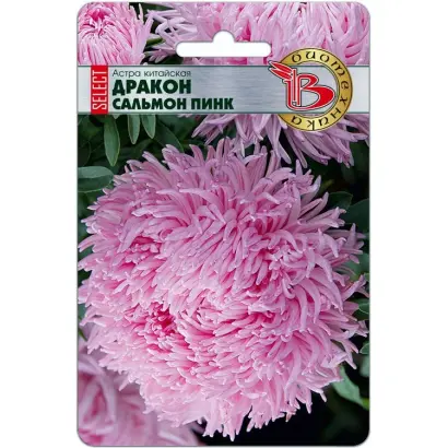 ДРАКОН РОЗОВЫЙ