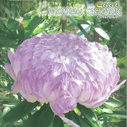 СТАРЫЙ ЗАМОК СЕРЕБРЯНЫЙ