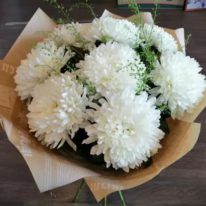 БЕЛАЯ ЧАЙКА