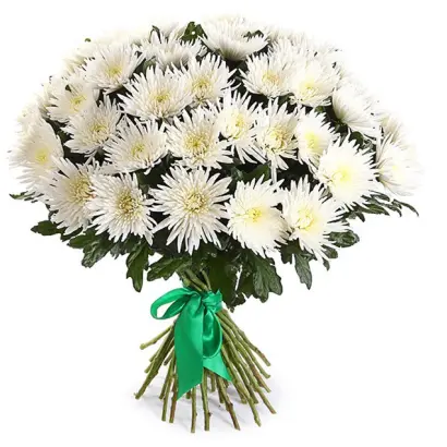 ЗИМНЕЕ УТРО