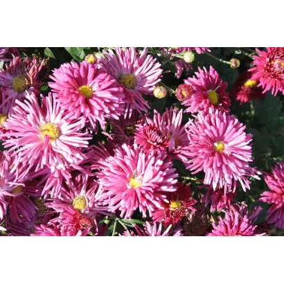 УРАЛЬСКАЯ ОСЕНЬ