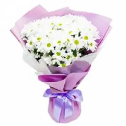 ВЕСЕЛАЯ ДОЛИНА