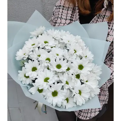 НЕЖНАЯ МУЗА