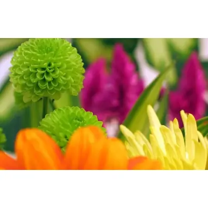 АЛТЫН СОЛОК