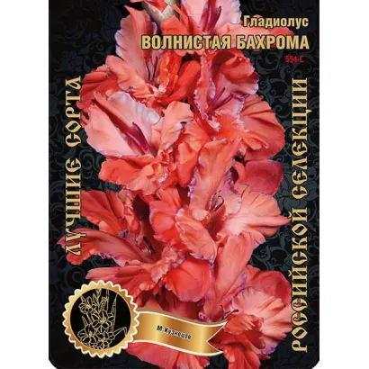 ВОЛНИСТАЯ БАХРОМА