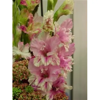 АНДРЕЙ САХАРОВ