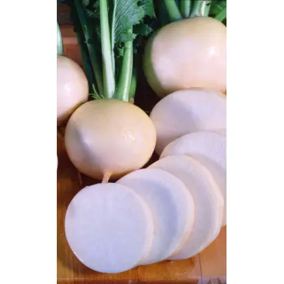 СНЕЖНЫЙ ШАР