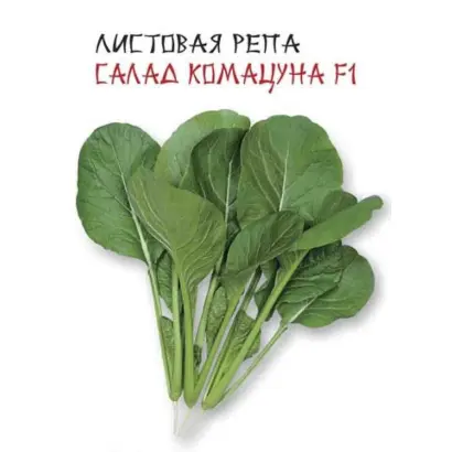 САЛАД КОМАЦУНА