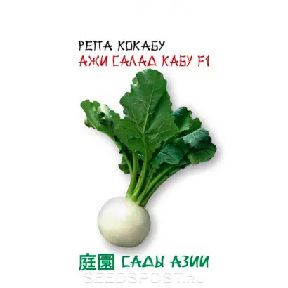 АЖИ САЛАД КАБУ