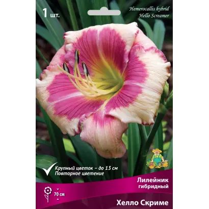 СТАВРОПОЛЬСКИЙ 1