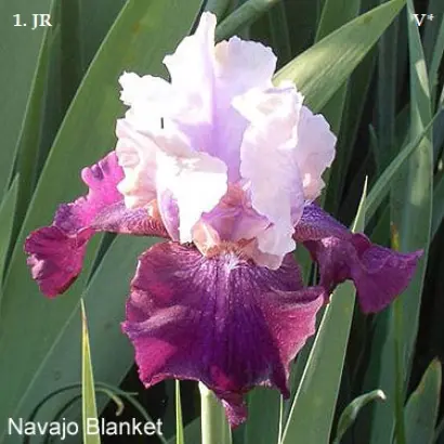 НАВАХО БЛАНКЕТ