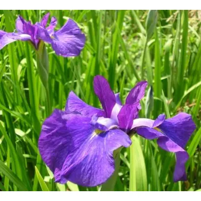 ПАМЯТИ ЛУЧНИК