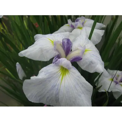 ПОКЛОН ЕРЕМЕНКО