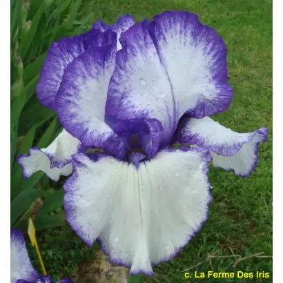 СТИЧ ИН ТАЙМ