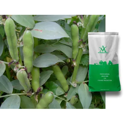 УЗУНОВСКИЕ