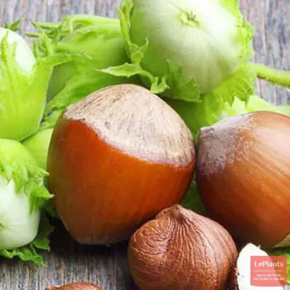 ПЕРЕСТРОЙКА