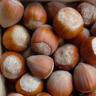 КАРАМАНОВСКИЙ