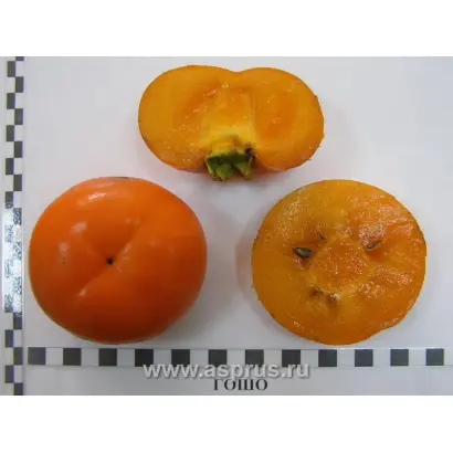 МВГ ОМАРОВА