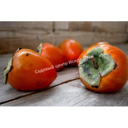 СУВЕНИР ОСЕНИ