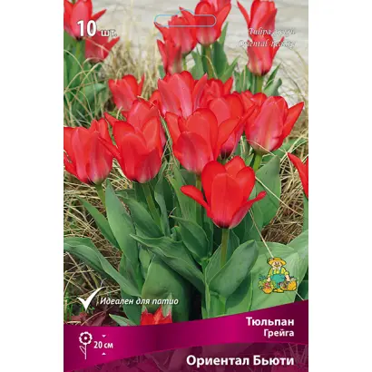 ОРИЕНТАЛ БЬЮТИ