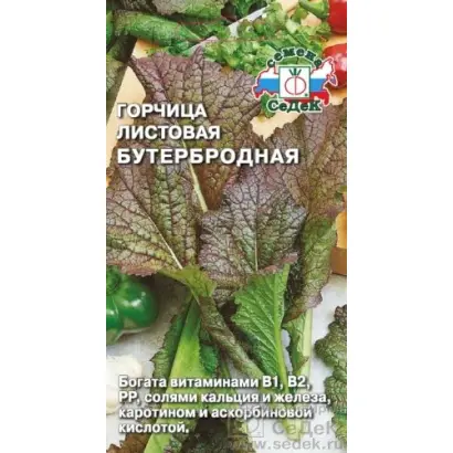 БУТЕРБРОДНАЯ