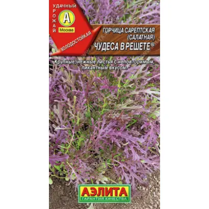 ЧУДЕСА В РЕШЕТЕ