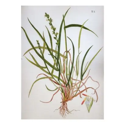 ЛЕНИНГРАДСКИЙ 809