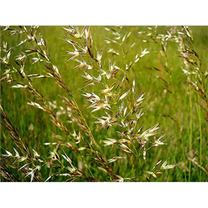 ТЕТРАМЭДЖИК