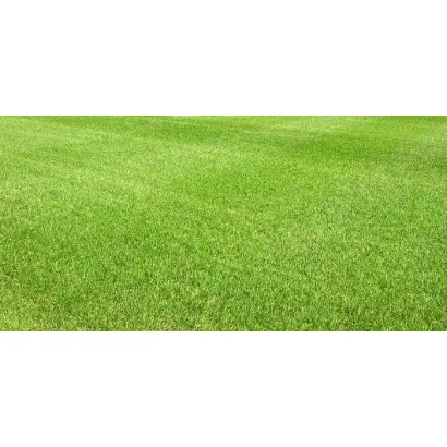 ЛОНГФЕЛЛОУ