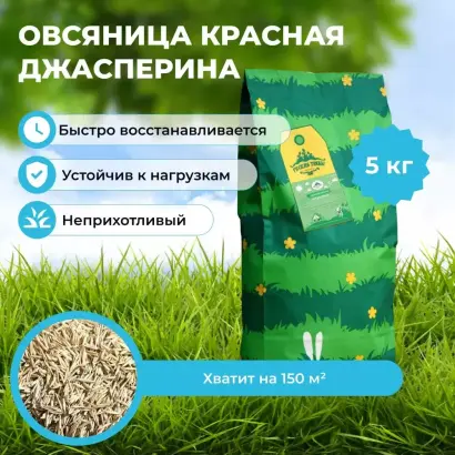 ДЖАСПЕРИНА