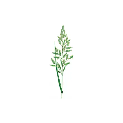 МОРШАНСКАЯ 1304