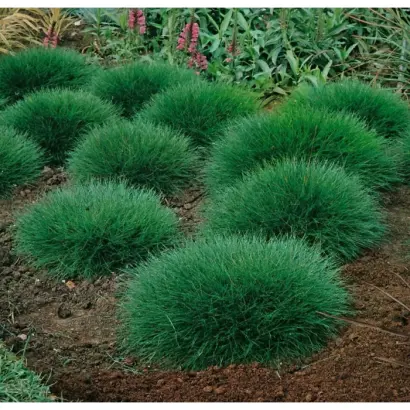 НАЛЬЧИКСКАЯ 1