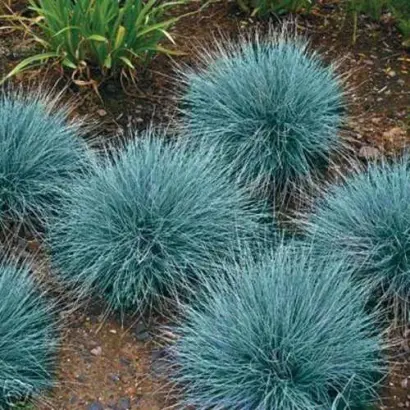 СЕВЕРОДВИНСКАЯ 130